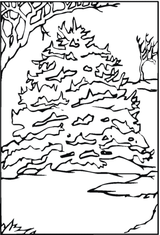 Pine Tree In The Snow Coloring Page